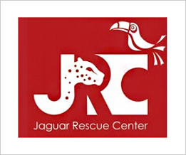 Jaguar Rescue Center